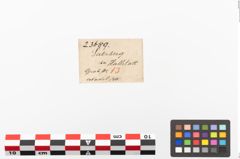 Etiketten zu Bronzemehrkopfnadel (NHMW-PRAE-023689)